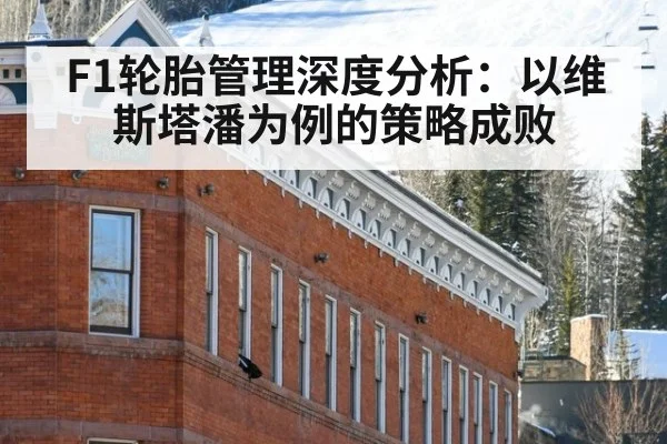 F1轮胎管理深度分析：以维斯塔潘为例的策略成败